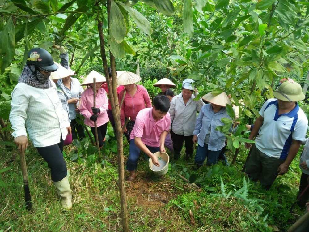 Giờ thực hành nghề lâm sinh cho người lao động tỉnh Hà Giang