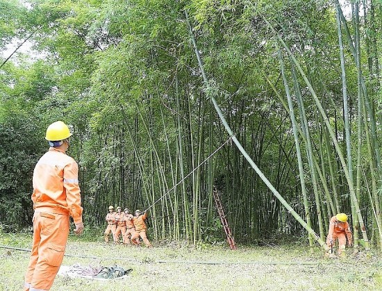 Công ty Điện lực Thanh Hóa chuẩn bị các phương án ứng phó mùa mưa bão