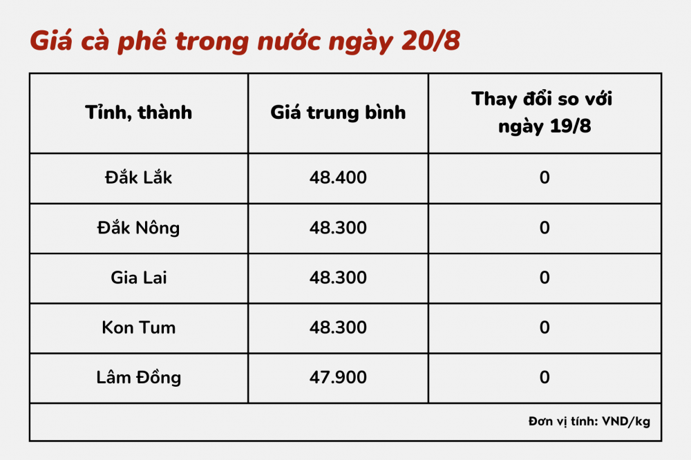 Giá cà phê hôm nay 20/8: Giá cà phê trong nước dao động từ 47.900 – 48.400 đồng/kg