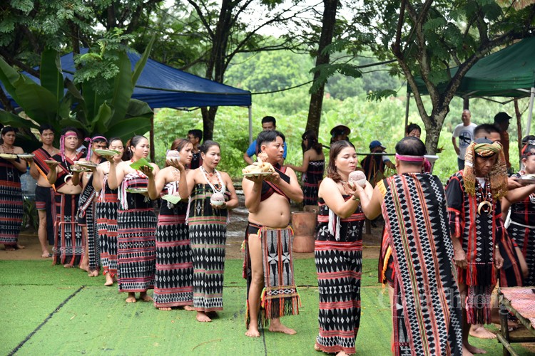 Lễ hội mừng lúa mới của đồng bào Cơ Tu