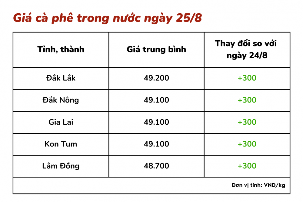 Giá cà phê hôm nay 25/8: Giá cà phê trong nước tăng nhẹ 300 đồng/kg