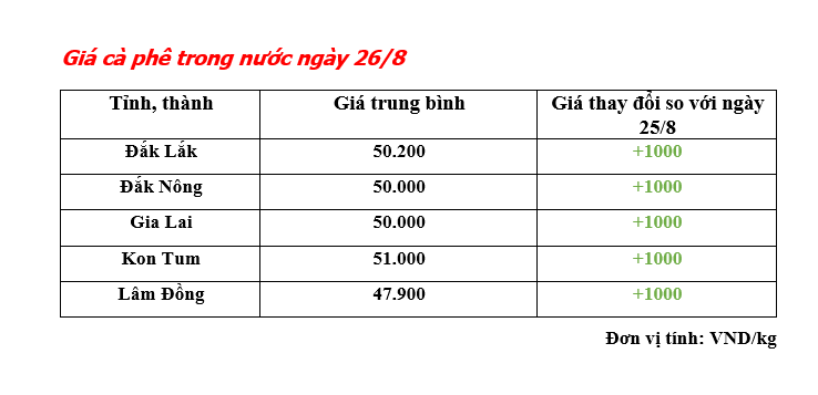 Giá cà phê hôm nay 26/8: Giá cà phê trong nước vượt mốc 50.000 đồng/kg