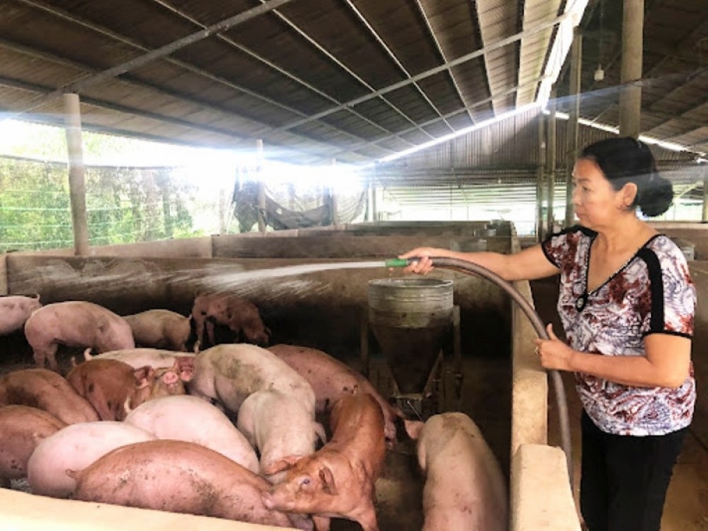 sản phẩm chăn nuôi
