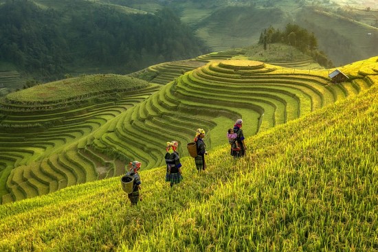 Nghỉ lễ 2/9: Tour ngắn ngày “cháy” hàng sớm