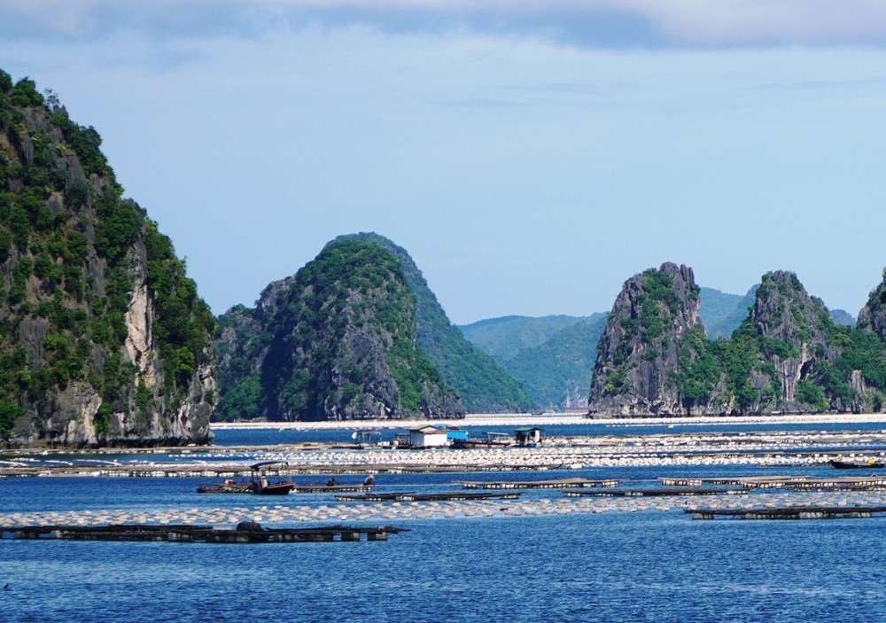 Quảng Ninh: 4 cán bộ, nhân viên bị khai trừ Đảng vì nhận hối lộ