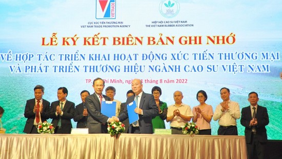 ky ket hop tac phat trien thuong hieu nganh cao su viet nam