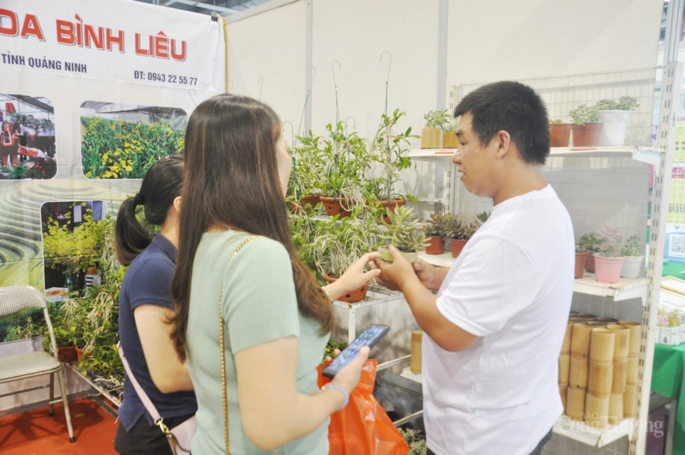 Hội chợ kỳ này có quy mô trên 250 gian hàng với trên 1.350 sản phẩm OCOP, sản phẩm đặc trưng, tiêu biểu của hơn 200 đơn vị, doanh nghiệp, hợp tác xã thuộc 42 tỉnh, thành phố trong nước.
