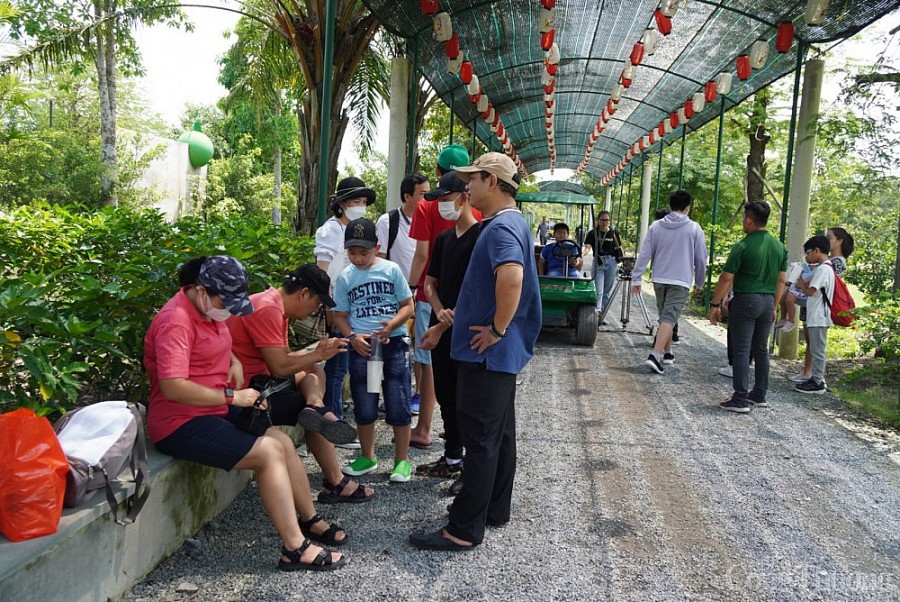 Du khách háo hức trải nghiệm du lịch sinh thái tại Long An