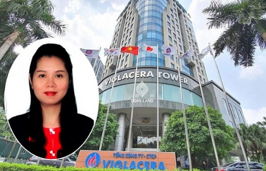 chan dung ung vien nu duoc bo xay dung de cu vao hoi dong quan tri viglacera