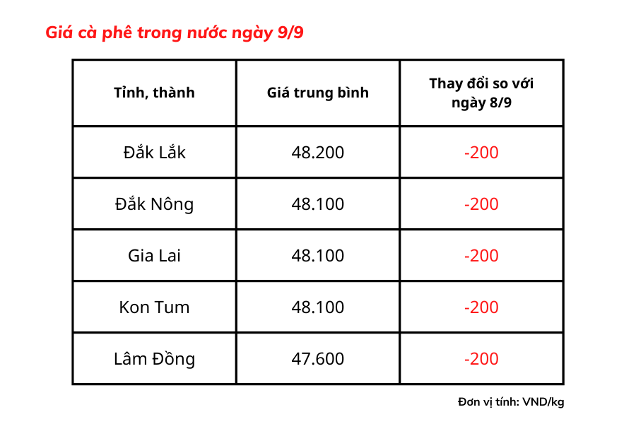 Giá cà phê hôm nay 9/9: Giá cà phê trong nước giảm 200 đồng/kg