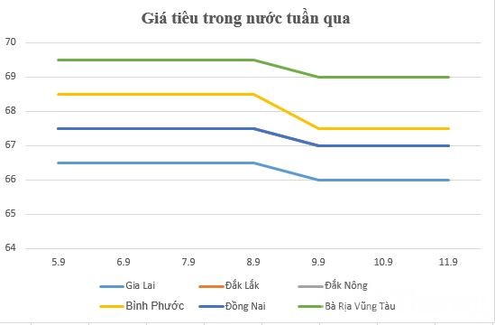 Giá tiêu hôm nay 11/9 và tổng kết tuần 5/9 – 11/9: Cơ hội cho tiêu Việt tại thị trường EU