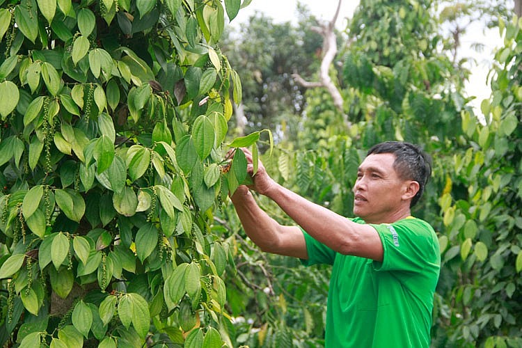 Già làng Tây Nguyên đưa Trường Sa về với buôn bản