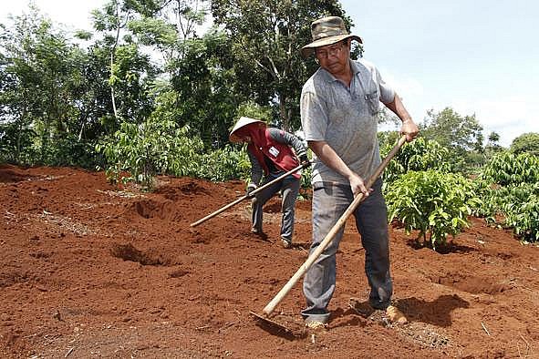 Già làng Tây Nguyên đưa Trường Sa về với buôn bản