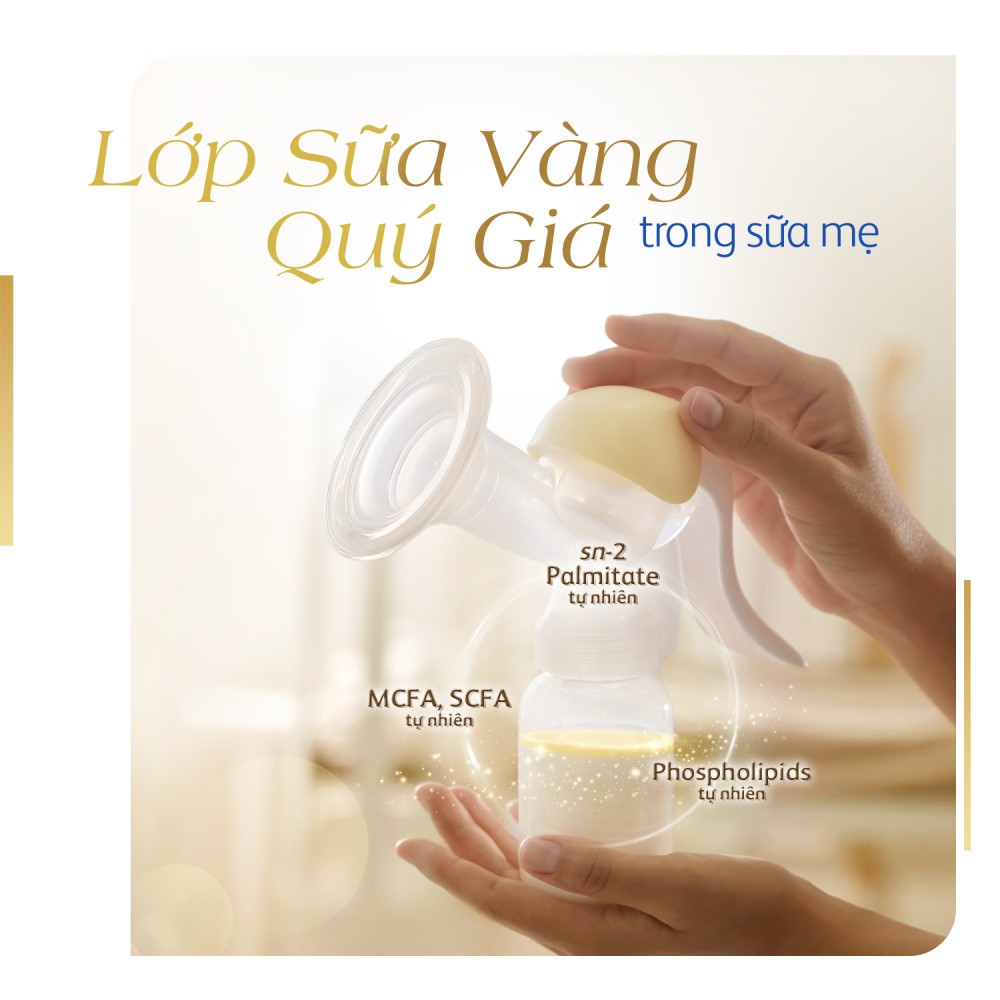 Friso Prestige với công thức dinh dưỡng từ “Lớp sữa vàng tăng cường miễn dịch”