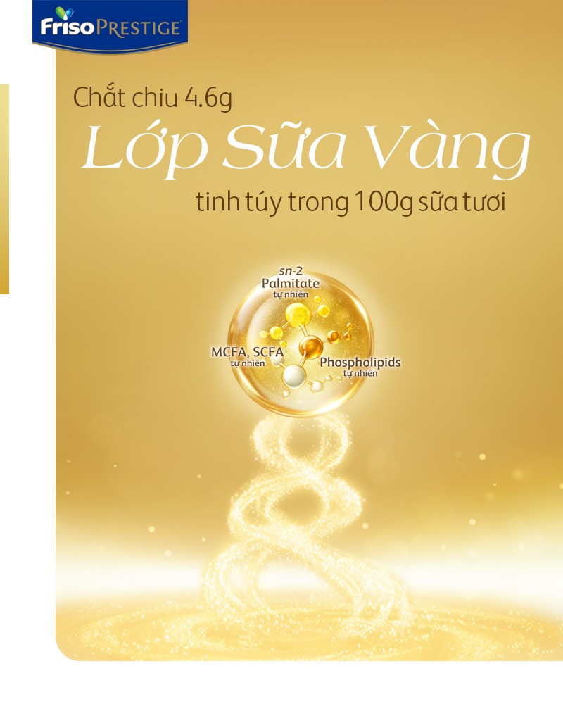 Friso Prestige với công thức dinh dưỡng từ “Lớp sữa vàng tăng cường miễn dịch”