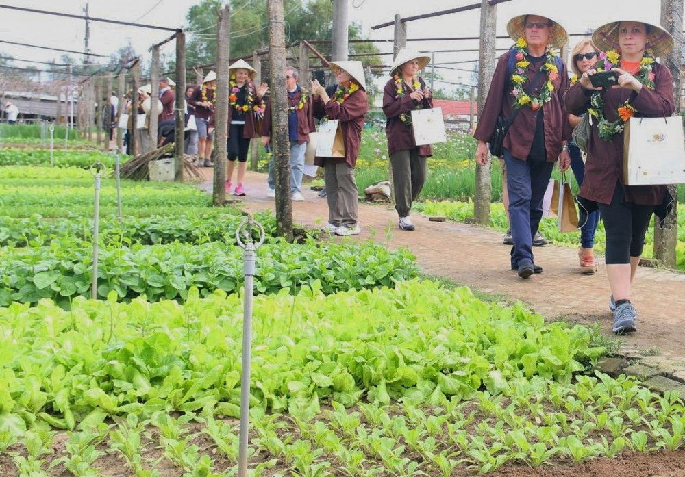 Quảng Nam cần làm gì để phát triển du lịch xanh trên nền tảng văn hoá?