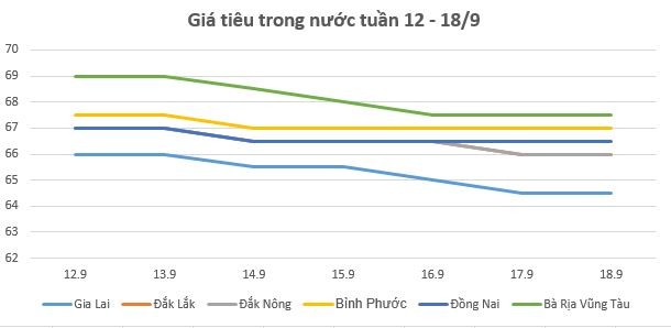 Giá tiêu hôm nay 18/9 và tổng kết tuần 12 – 18/9: Giảm từ 500 – 1.500 đồng/kg