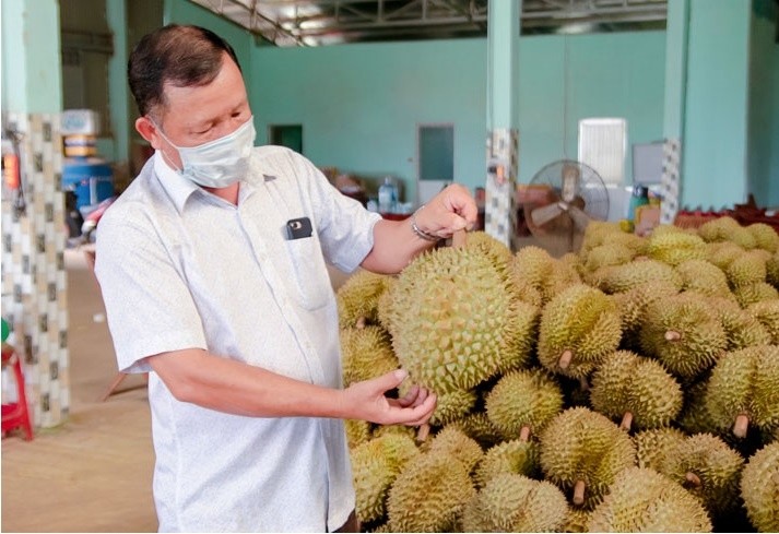 Công Thương qua góc nhìn báo chí ngày 19/9: Xuất khẩu sầu riêng sang Trung Quốc, giữ chữ tín để đi đường dài