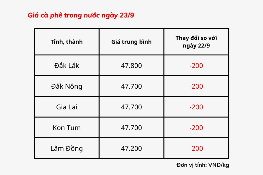 Giá cà phê hôm nay 23/9: Giá cà phê trong nước giảm 200 đồng/kg