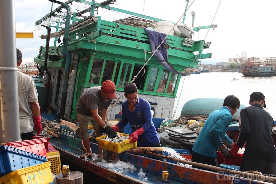 Phó Trưởng ban Thường trực Ban Chỉ đạo Quốc gia về phòng chống thiên tai Lê Minh Hoan kiểm tra tình hình phòng chống bão số 4 tại Đà Nẵng