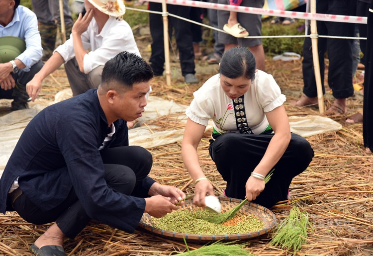 Lễ hội cốm Tú Lệ có gì đặc sắc?