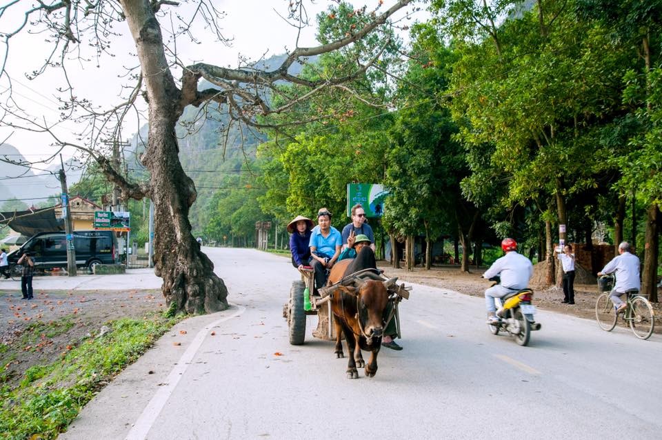 Ninh Bình xây dựng nông thôn mới kiểu mẫu gắn với bảo tồn giá trị văn hóa truyền thống phát triển du lịch nông thôn
