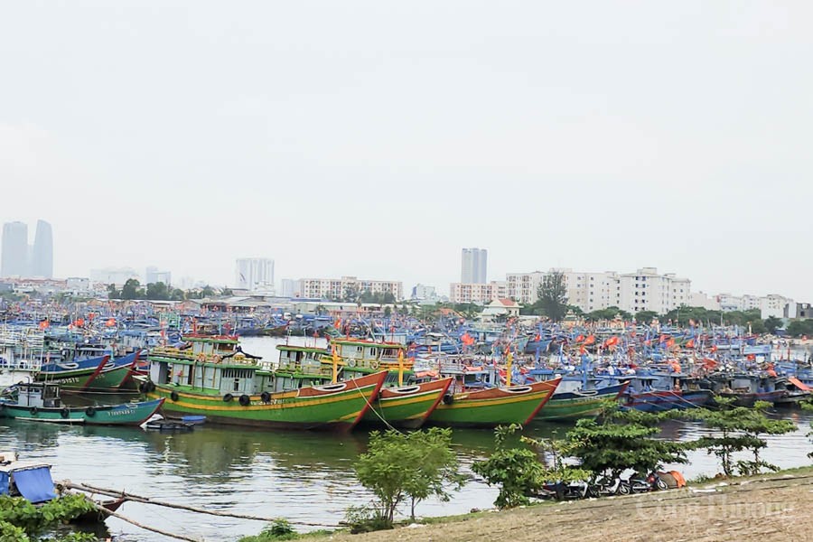 Đà Nẵng: Khẩn trương sơ tán hàng chục nghìn người dân đến nơi trú bão số 4 an toàn Cập nhật bão số 4: Hình ảnh Đà Nẵng gồng mình sơ tán người dân đến nơi trú an toàn