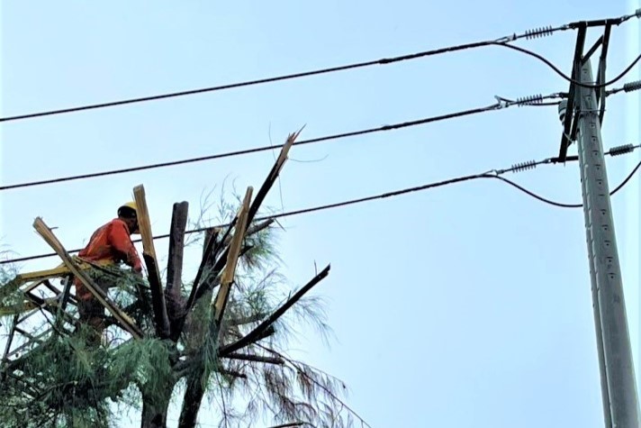 Công ty Điện lực Quảng Nam nỗ lực ứng phó phòng tránh bão số 4 Công ty Điện lực Quảng Nam nỗ lực ứng phó phòng tránh bão số 4