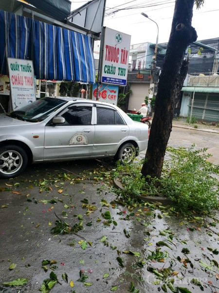 Quảng Nam: Những thiệt hại ban đầu sau khi bão số 4 đổ bộ