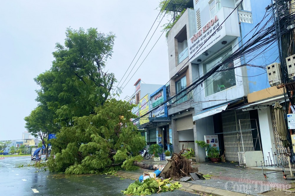 Sau bão số 4: Đà Nẵng ngổn ngang, gió vẫn thổi mạnh