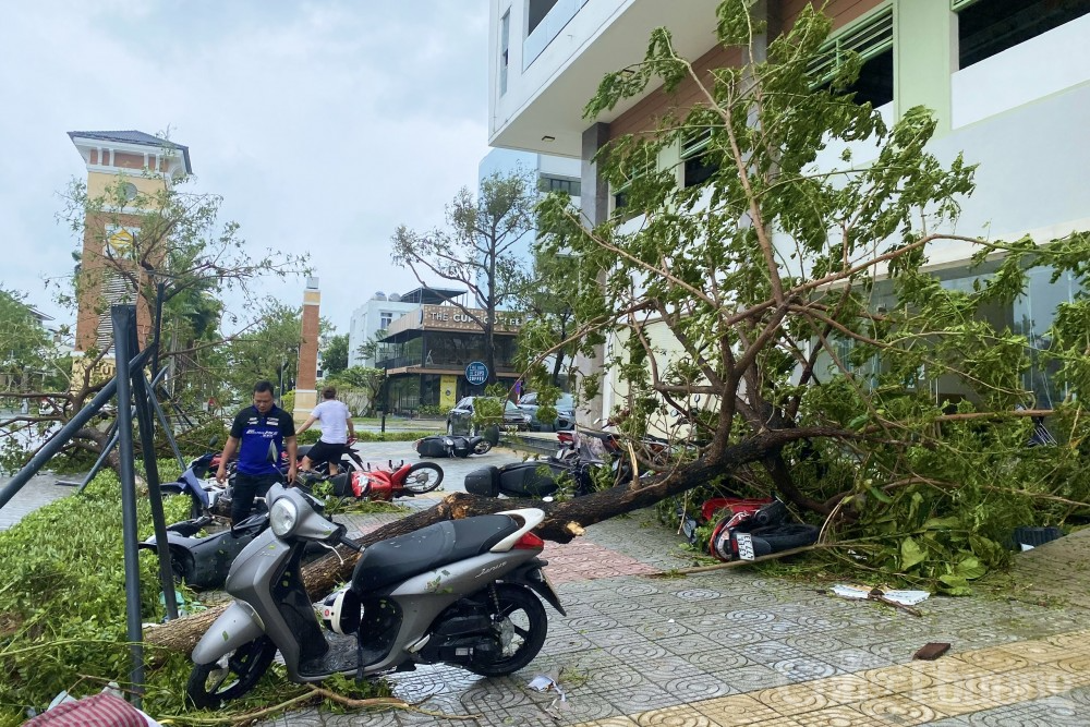 Sau bão số 4: Đà Nẵng ngổn ngang, gió vẫn thổi mạnh