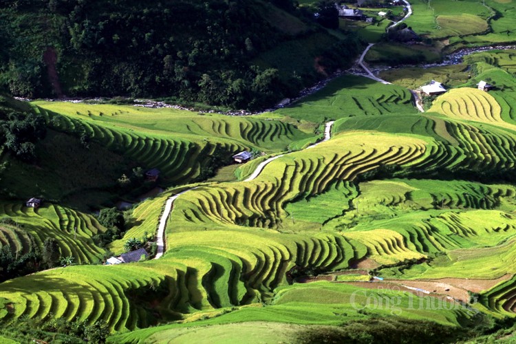 Khám phá, trải nghiệm mùa vàng ruộng bậc thang Mù Cang Chải