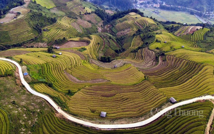 Khám phá, trải nghiệm mùa vàng ruộng bậc thang Mù Cang Chải