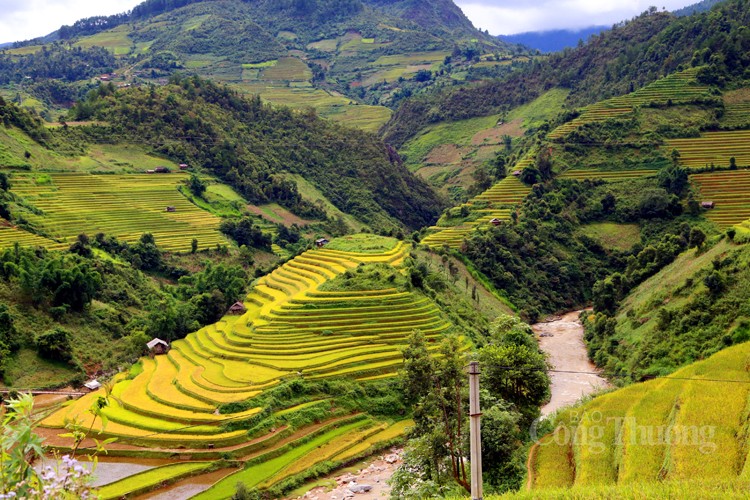 Khám phá, trải nghiệm mùa vàng ruộng bậc thang Mù Cang Chải Khám phá, trải nghiệm mùa vàng ruộng bậc thang Mù Cang Chải