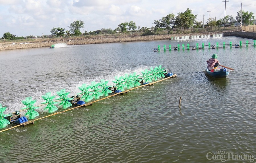 Trà Vinh nỗ lực đưa điện đến vùng đồng bào dân tộc Khmer