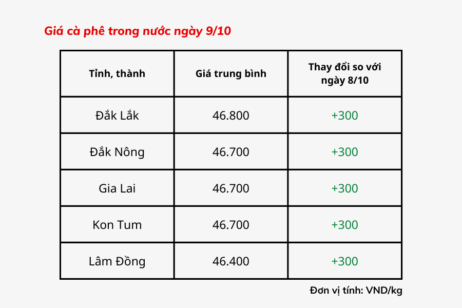 Giá cà phê trong nước hôm nay 9/10 dao động ở mức 46.400 - 46.800 đồng/kg, tăng 300 đồng/kg so với hôm qua (8/10).