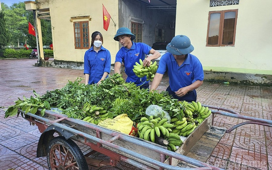 Các tỉnh miền Trung rau xanh tăng giá, đứt hàng do mưa bão