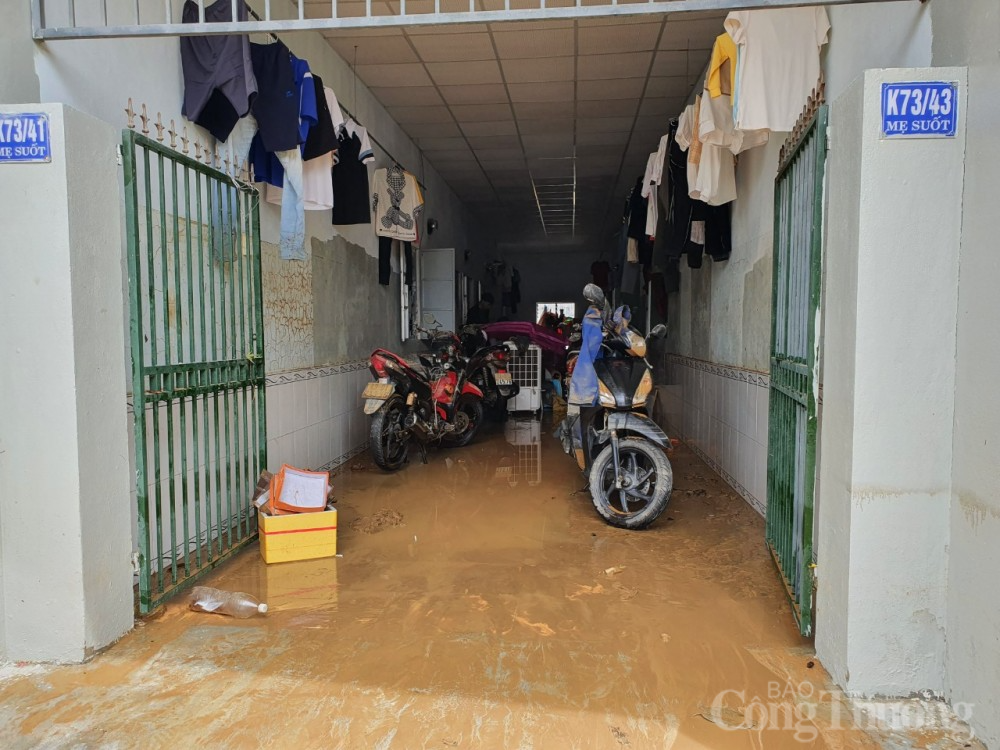 Đà Nẵng: Vẫn còn nhiều khu vực ngập lụt; người dân ra sức dọn dẹp Chùm ảnh Đà Nẵng khắc phục ngập lụt trưa 15/10