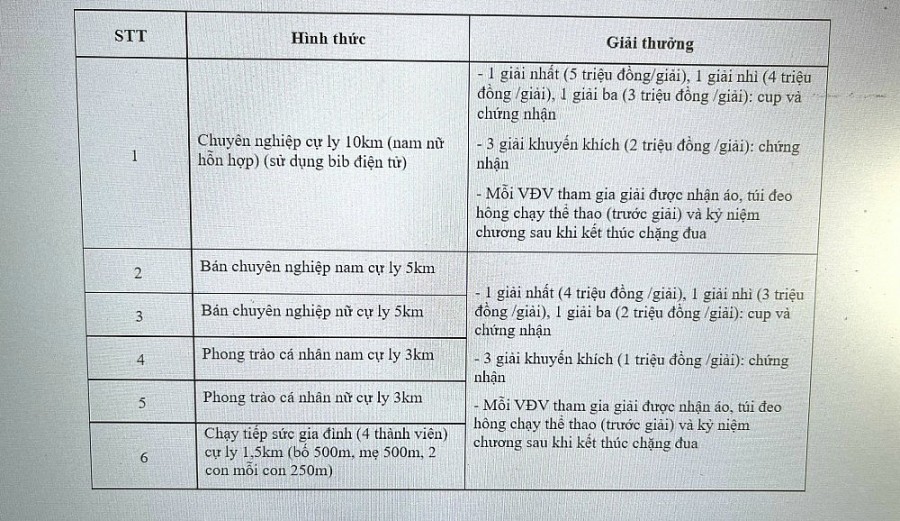 Ngân hàng SeABank tổ chức giải chạy 