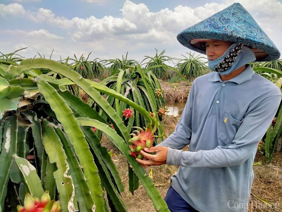 dong bang song cuu long dua chinh sach vao thuc tien giup nguoi dan nong thon xoa doi giam ngheo