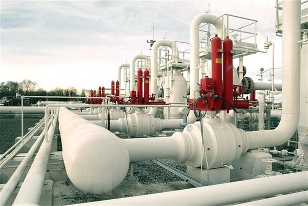 Giá gas hôm nay 25/1: Diễn biến nào đang xảy ra trên thị trường khí đốt?