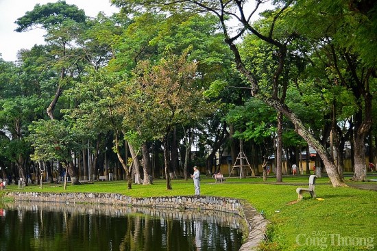 tang khong gian cay xanh de tang suc chong chiu voi bien doi khi hau cho do thi ven bien
