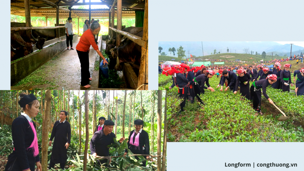 TS. Nguyễn Minh Phong: Nhiều đột phá trong quyết sách cho miền núi, hải đảo