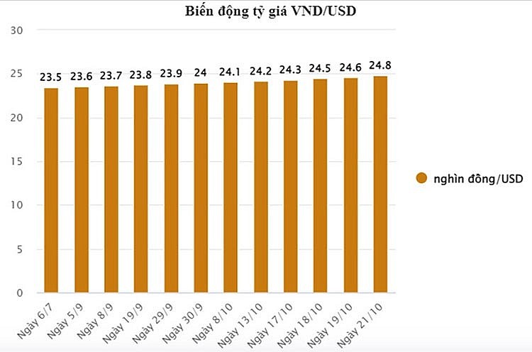 Mạch tăng tỷ giá USD/VND: Từ dưới 23.000 đồng lên sát 25.000 đồng/USD