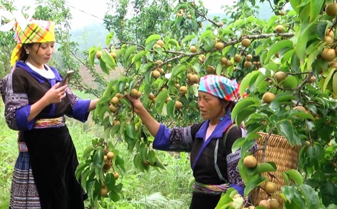 Thủ tướng Chính phủ: Yên Bái cần phát huy tiềm năng, đổi mới sáng tạo để phát triển