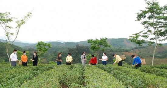 lao cai dat muc tieu giam ngheo binh quan tu 35nam