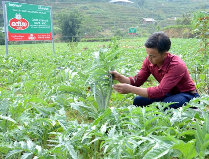 Chứng khoán hôm nay ngày 28/10: Nhận định thị trường và phân tích cổ phiếu TRA