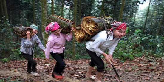 diem sang phong trao phu nu giam ngheo ben vung o vung cao huyen bac ha