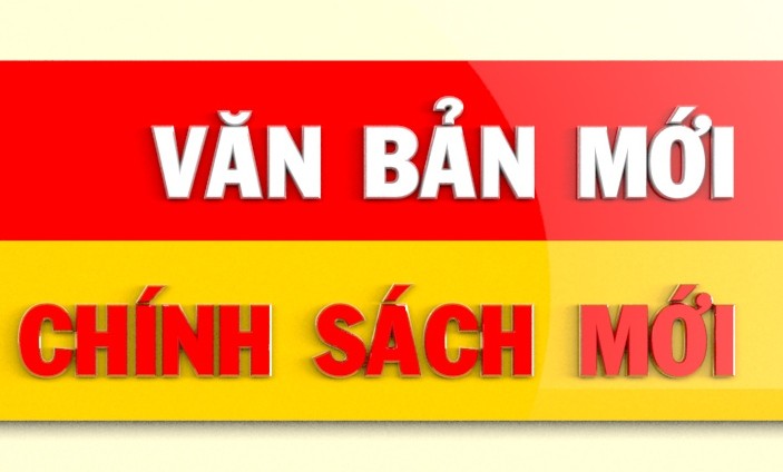 Chính sách mới