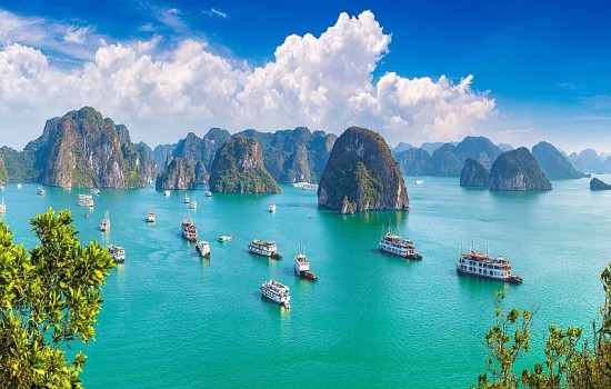 kinh te ban dem mo vang cua quang ninh bai 1 xu huong phat trien tat yeu